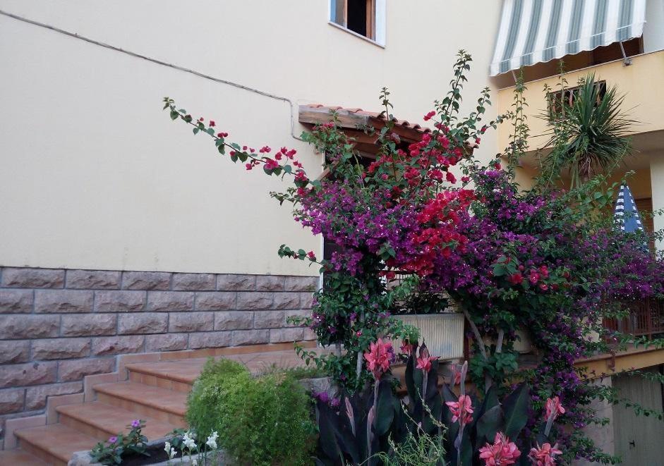 Al 32 Y 3 Alghero Exterior foto